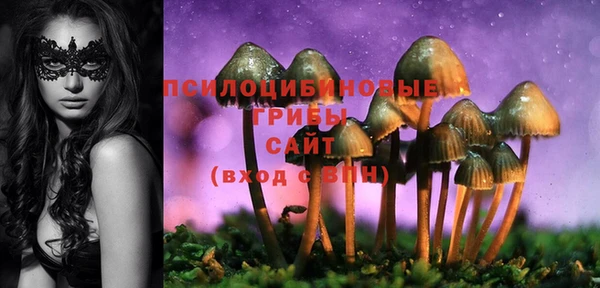 spice Балахна