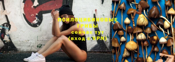spice Балахна